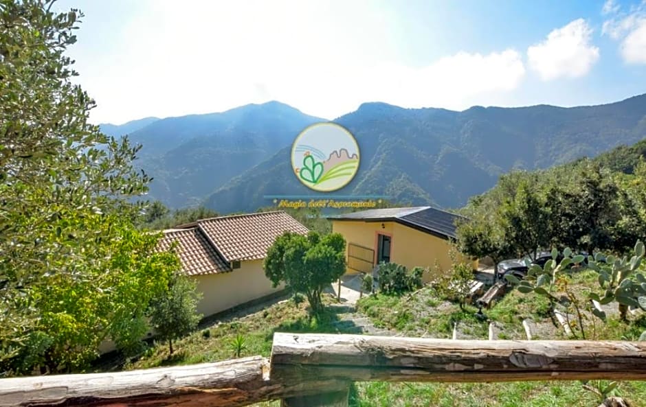 Magia dell'Aspromonte