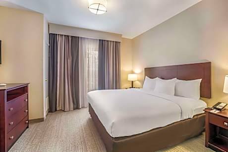 1 King Bed, Suite, Nonsmoking