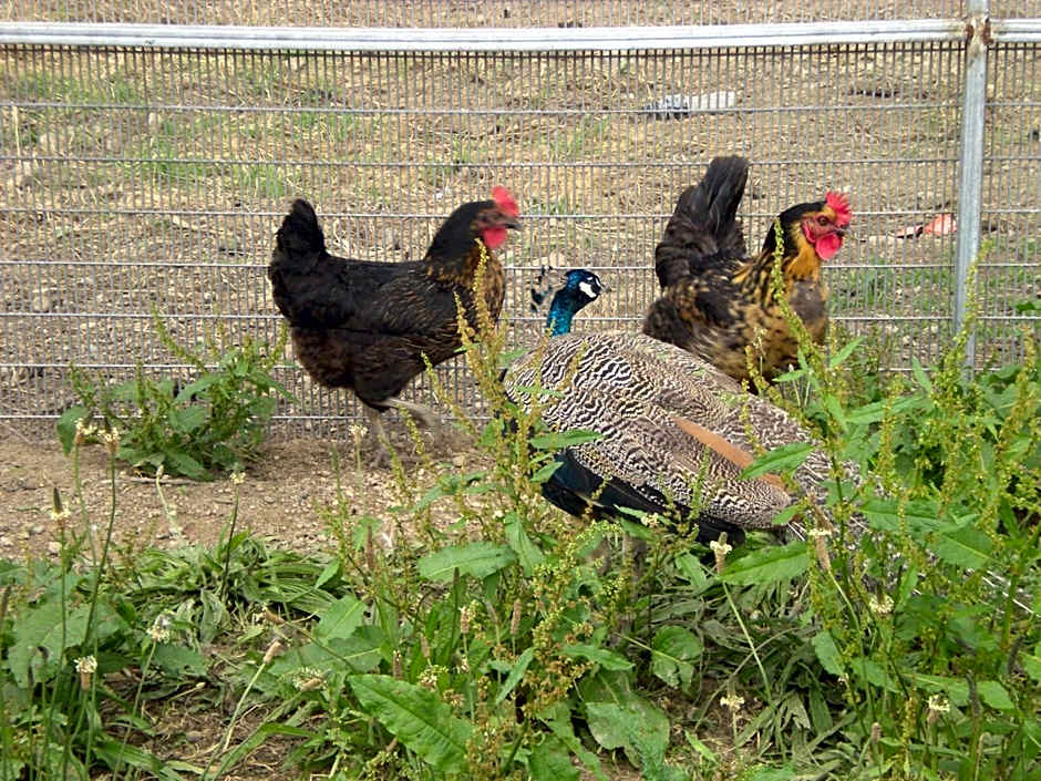 Domaine de kerbillec