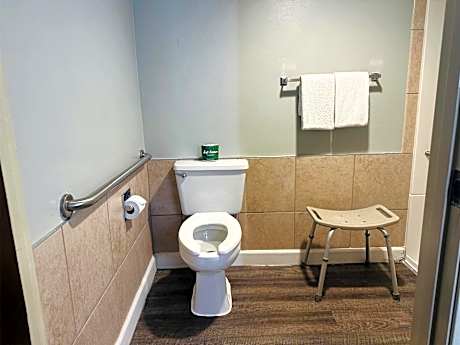 1 Queen Bed Mobility Accessible Room Non-Smoking