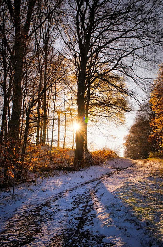 Pension Pfefferstübchen