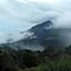 Neelakurunji Plantation Munnar