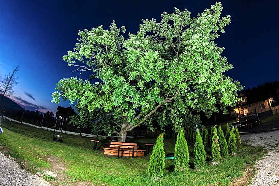 Chatka Pod Laskiem - Domki w górach