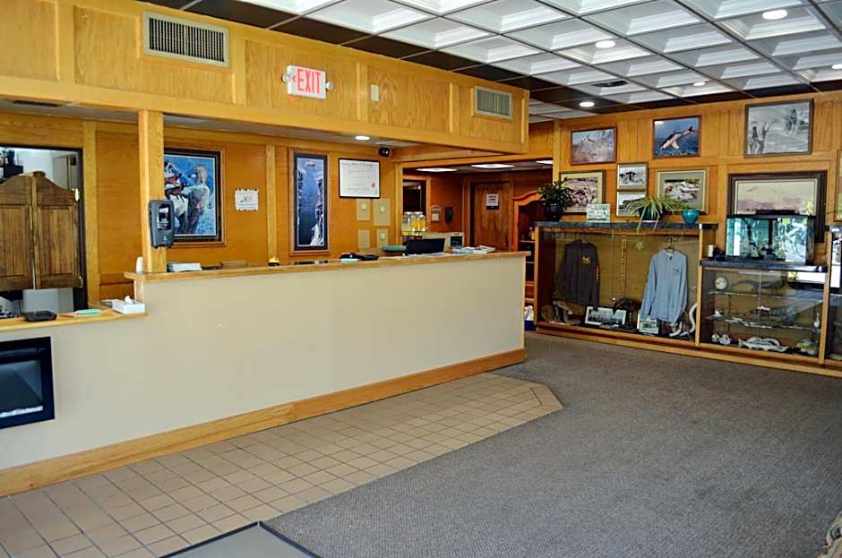 Hot Springs Hotel & Spa