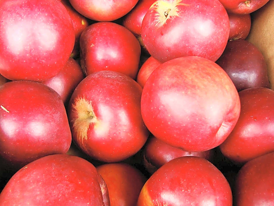 Holiday Inn Express Hotel & Suites El Dorado Hills By IHG