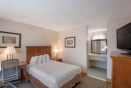 Double Room - Pet Friendly/Non-SMoking