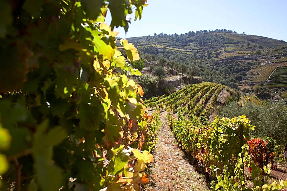 Hotel Rural da Quinta do Silval