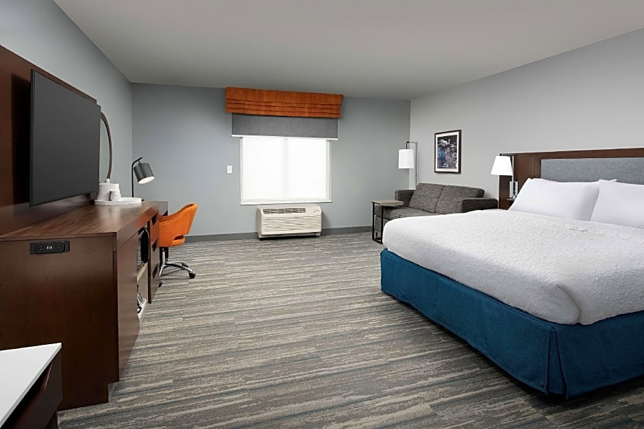 Photo 1 of 12 of 1 King Bed with Sofabed, Mobility Accessible, Roll in Shower