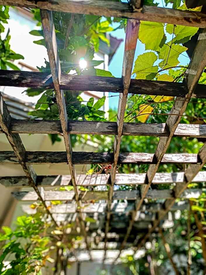 Soraya Yoga Wellness Center