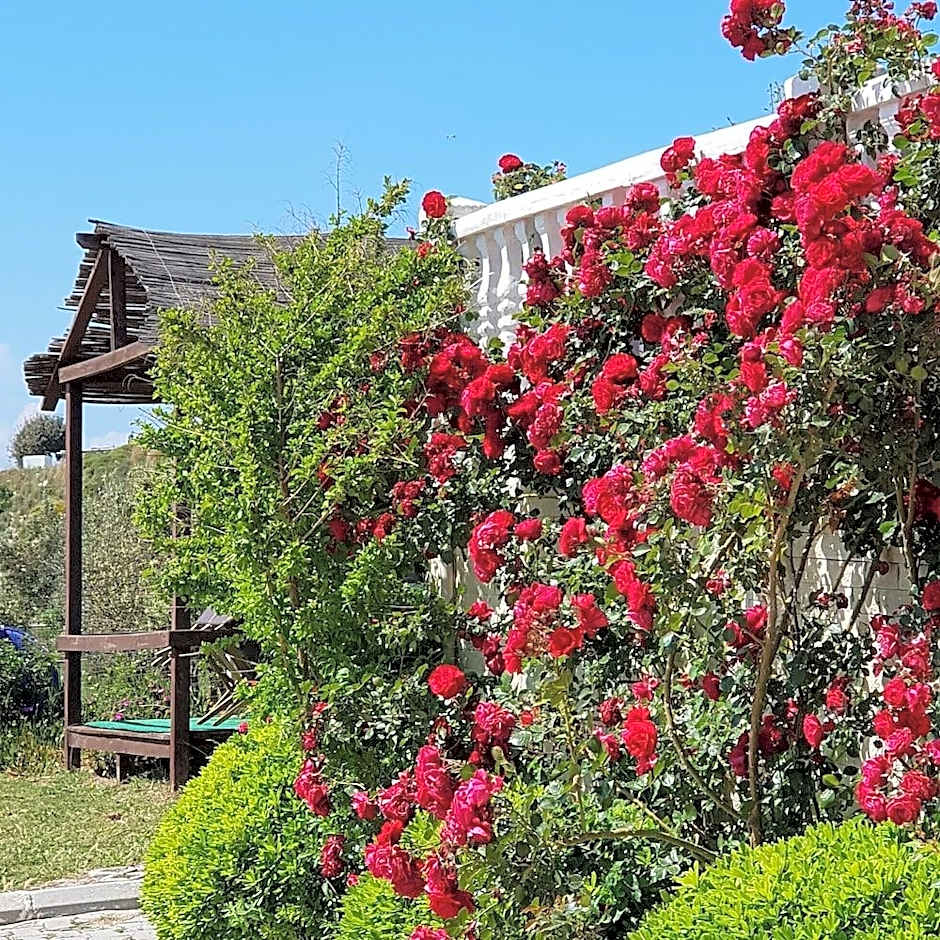 Ciftlik Butik Hotel