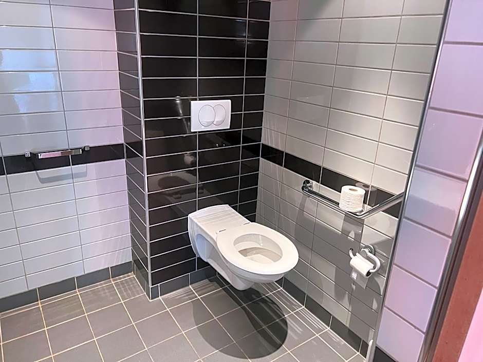Ibis Budget Roanne Hotel