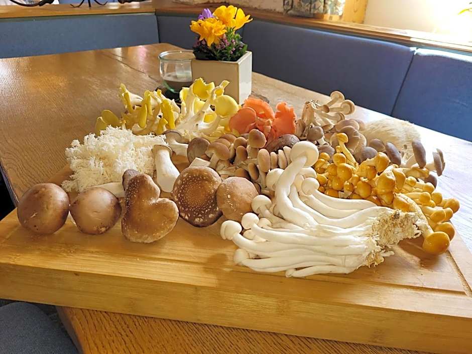 Hotel Wittekindsquelle