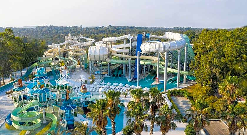 Paloma Oceana