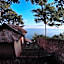 Cosmos Bungalows