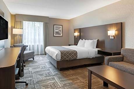 Queen Room with Sofa Bed