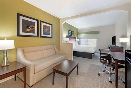 Executive King Room