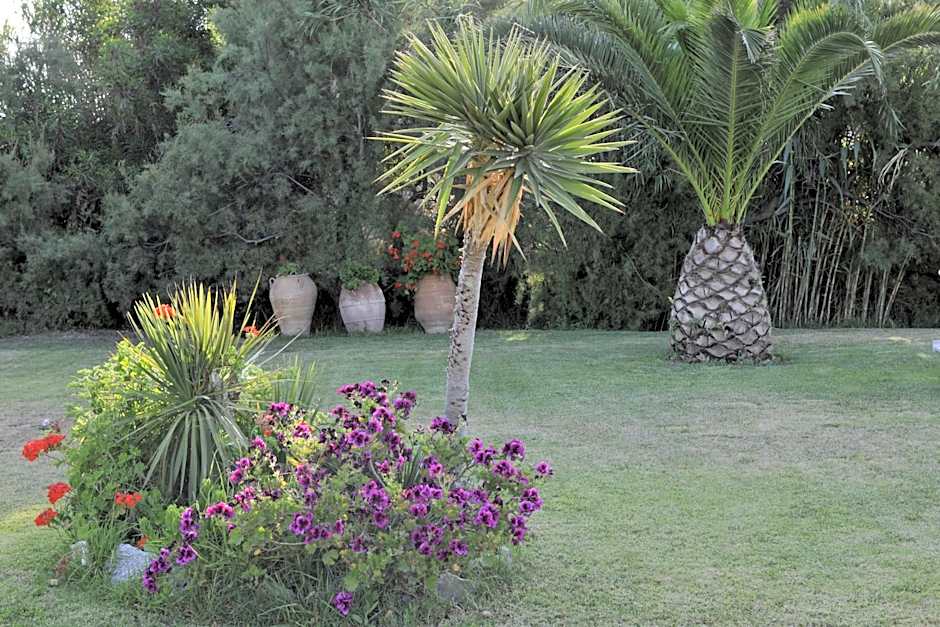 Ammos Naxos Exclusive Apartments & Studios