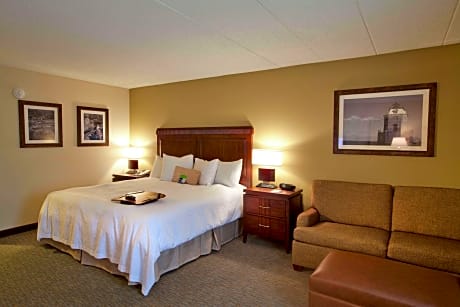 1 King Bed Deluxe Room W/ Sofabed Nonsmoking