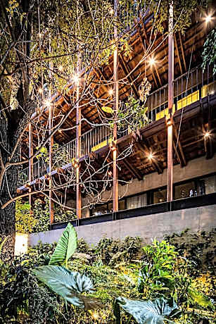 Ana Polanco Apartments