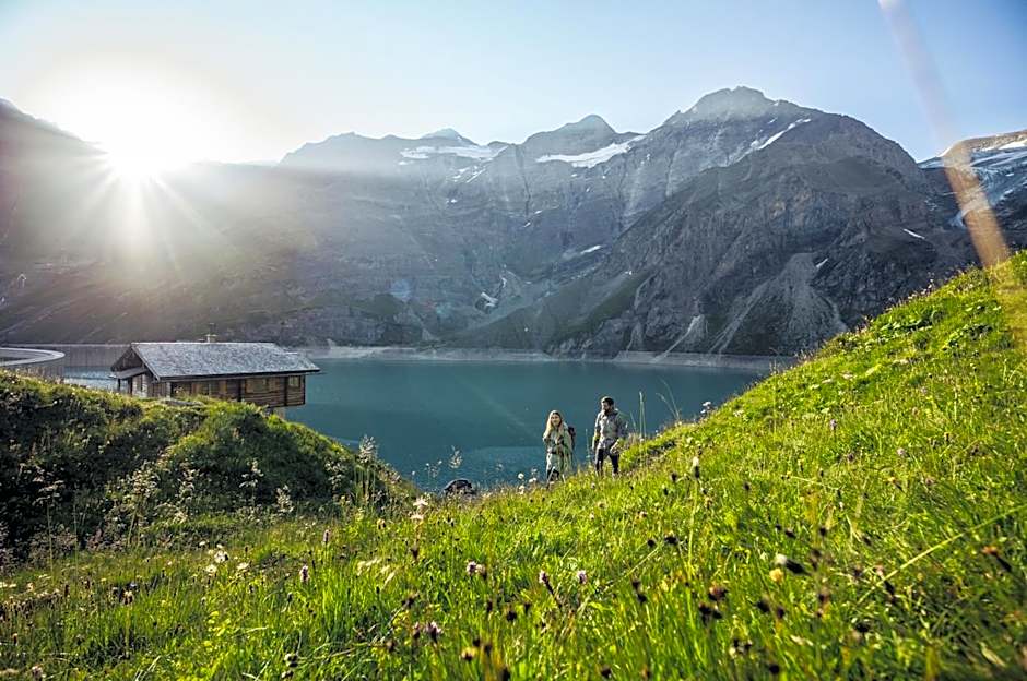 AlpenParks Chalet & Apartment Steve Lodge Viehhofen