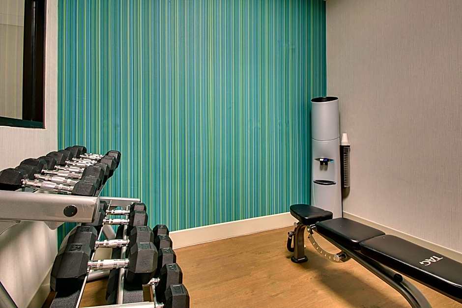 Holiday Inn Express Hotel & Suites Austell Powder Springs By IHG