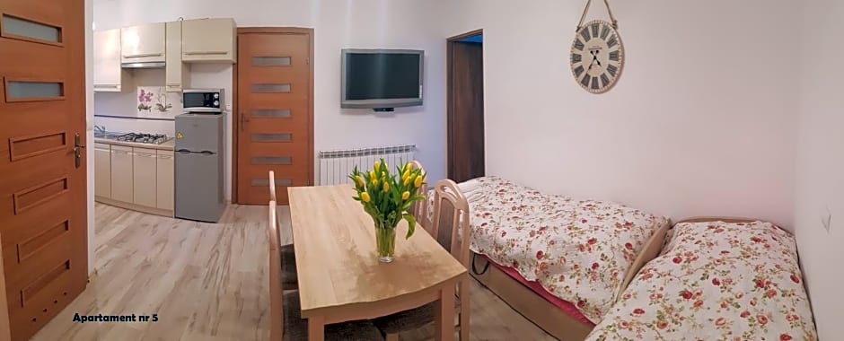 Domki i Pokoje u Borsa