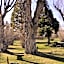 Silver Maple Inn