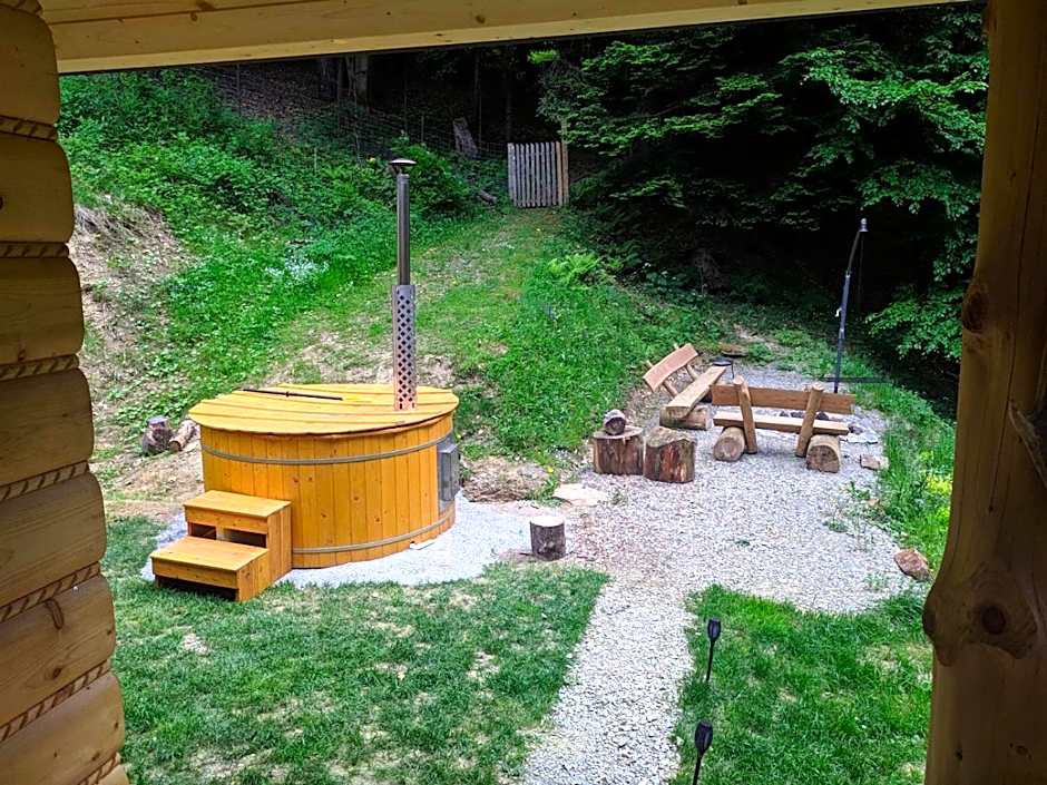 Bieszczady Domek Nad Stawem