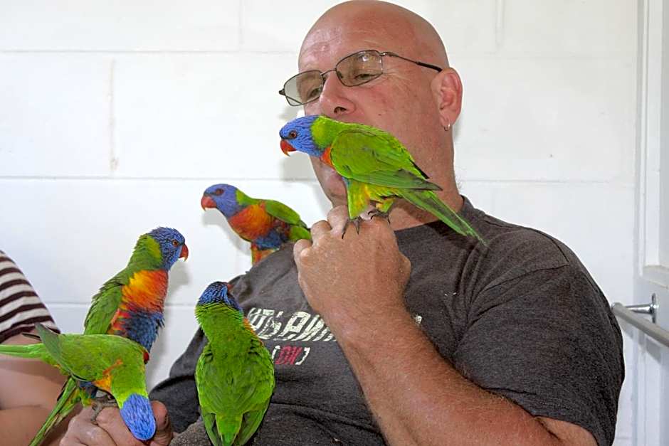 Amaroo Rainforest Resort