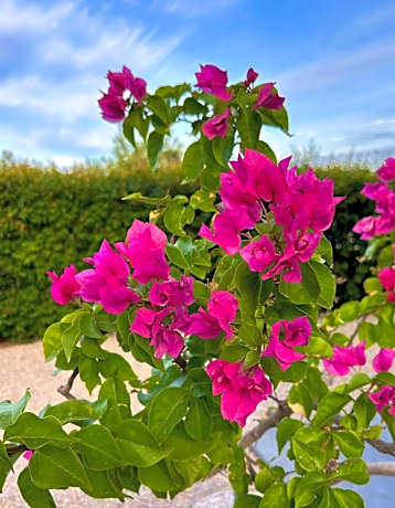 Double Room with Sea View