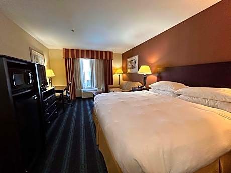 King Room with Sofa Bed - Non-Smoking