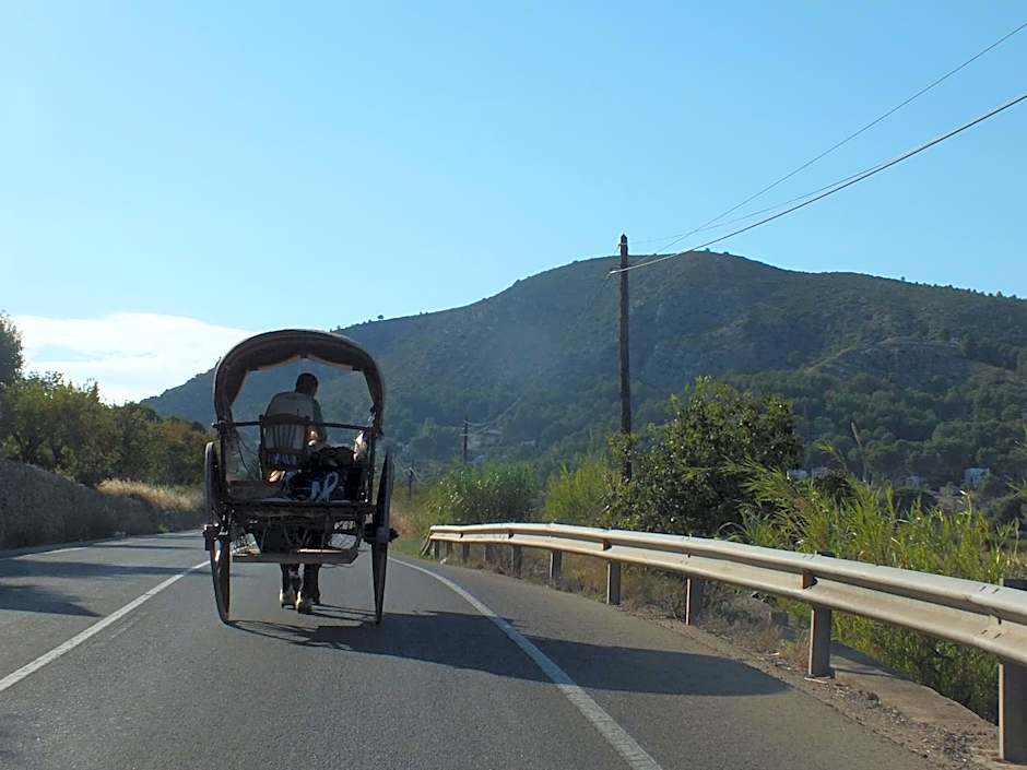 Buena Idea - Adults Only