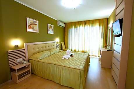 Deluxe One-Bedroom Apartment