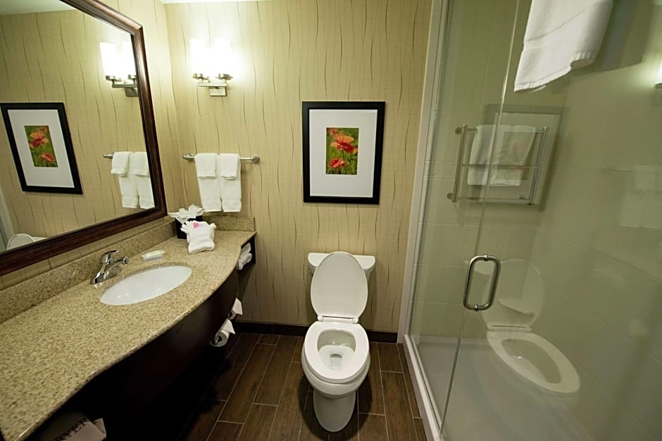 Hilton Garden Inn Dayton South - Austin Landing