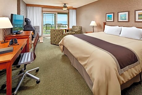 Deluxe King Room with Roll-In Shower - Disability Access
