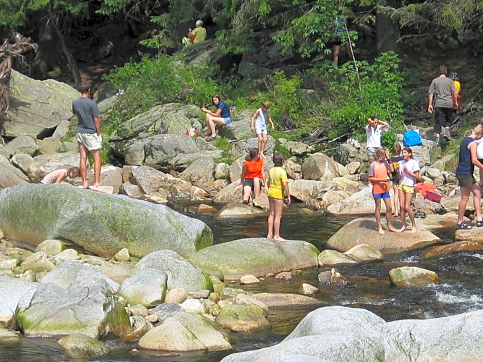Hotel Srní depandance - Šumava