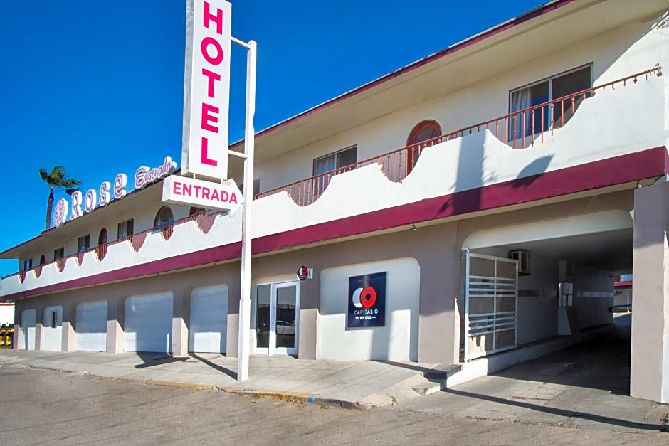 Hotel Rose Ensenada