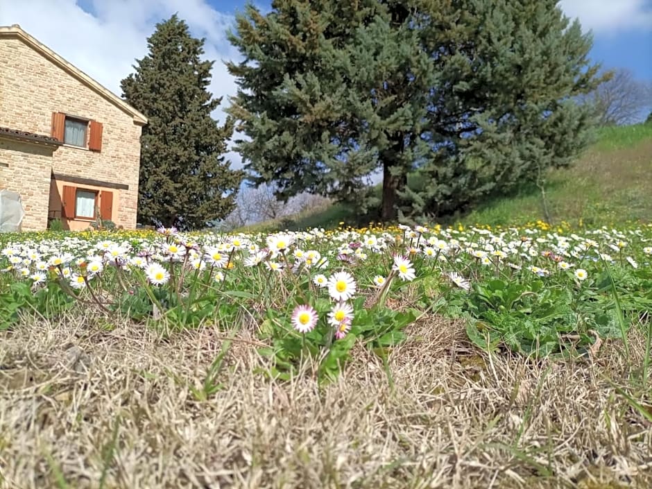 Piccolo Gesto d'Affetto