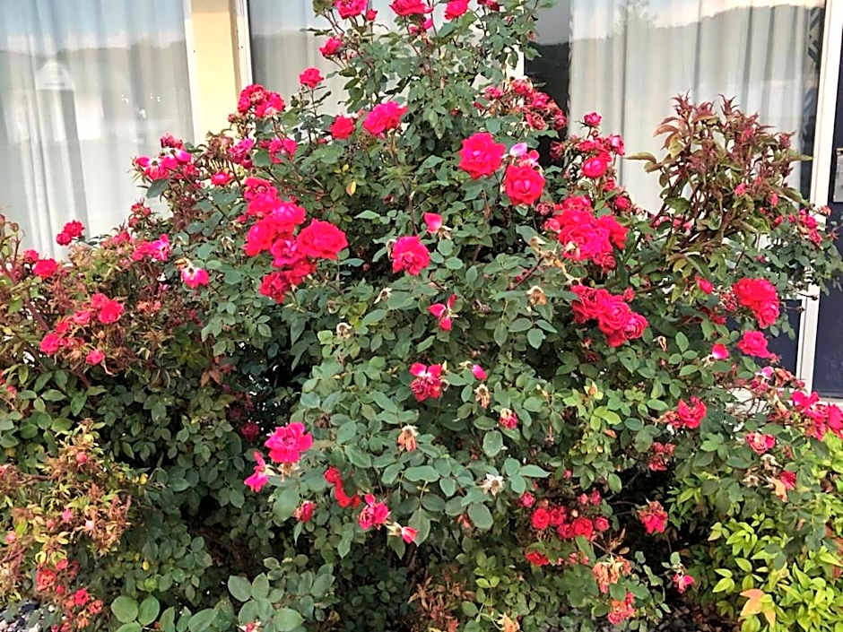 Budget Inn Express Bristol