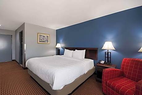 1 King Bed, Nonsmoking, Accessible