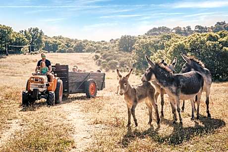 Country Kids Resort - Family Holidays France