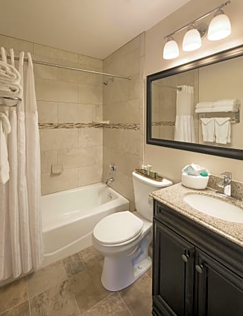 One-Bedroom Apartment with Sofa Bed