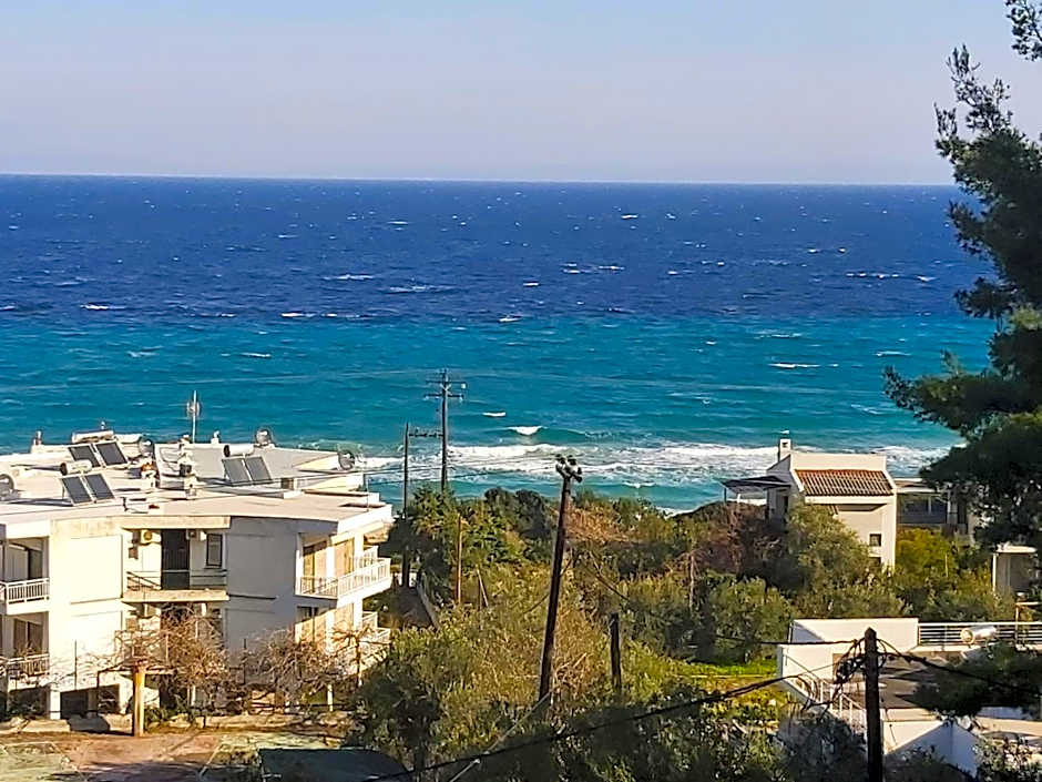 Roditsa Patritsia Apartments