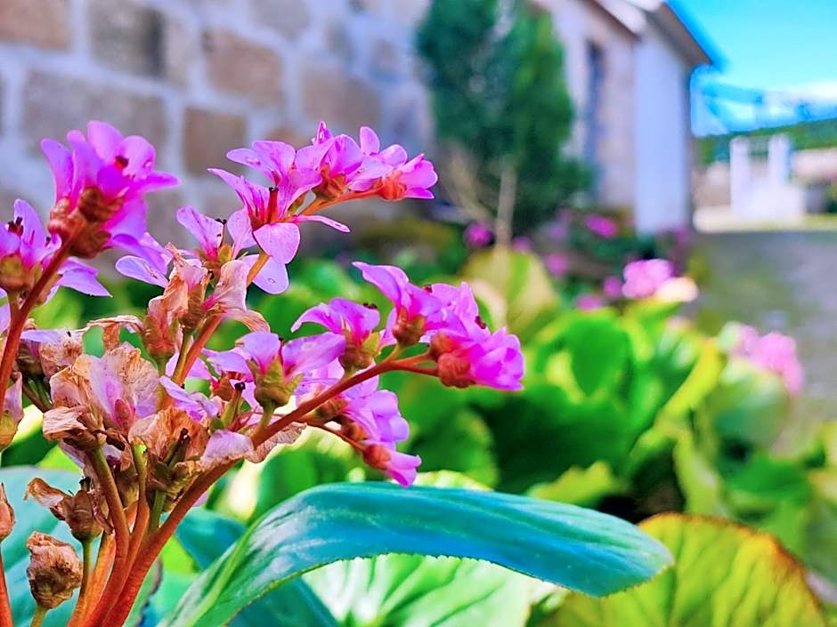 Agroturismo Quinta De Travancela