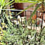 B&B Vicolo del Chiostro