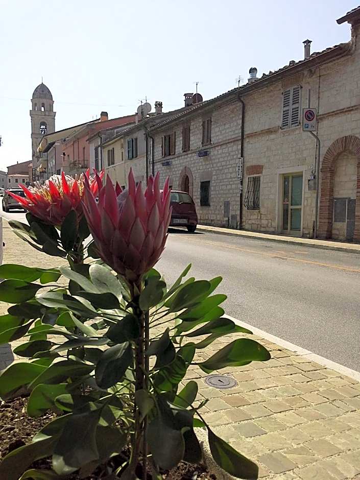 Hotel "Il Parco" B&B Sirolo