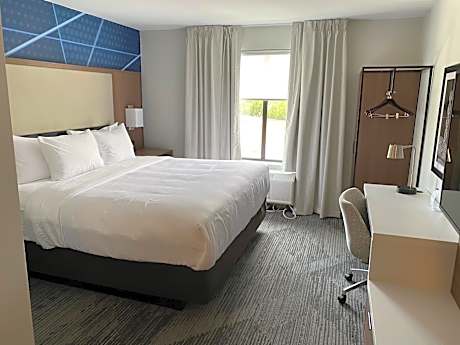 King Suite with Sofa - Non Smoking/Pet Friendly