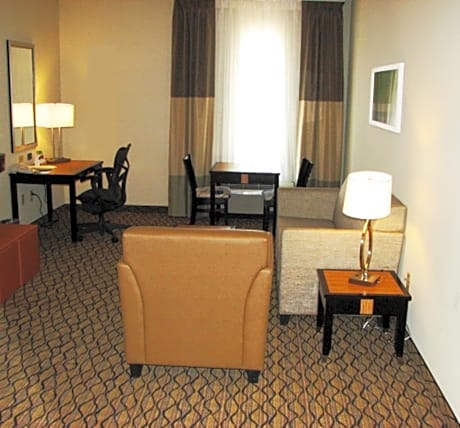 Executive King Suite with Sofa Bed
