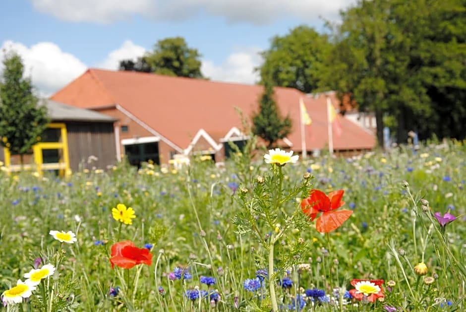 B&B Blauwestadhoeve