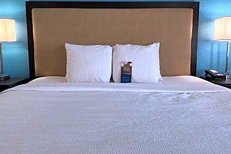 Deluxe King Studio Suite - Non-Smoking